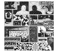 Will Sessions - Electromagnetic Reality [Vinyl]