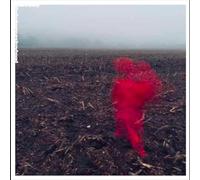 Will Varley - Hole Around My Head-Clear Vinyl [Import]