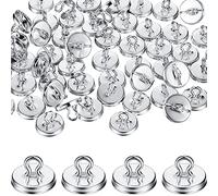 WILLBOND Lot de 80 ancrages pour plantes pour treillis, vigne, treillis, ancre, fixation murale, crochets d'ancrage pour vigne et fournitures d'escalade (argenté)