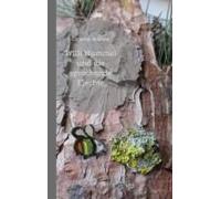 Willi Hummel Und Die Sprechende Flechte