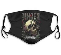 Willi wills wissen - Von A bis Z: Das Willi wills wissen-Lexikon