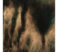 William Basinski - Lamentations [Vinyl Lp]