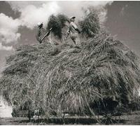 William Elliott Whitmore - Field Songs