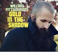 WILLIAM FITZSIMMONS - Gold in The Shadow