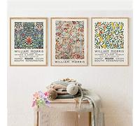 William Morris impression sur toile Vintage agrumes musée exposition affiche galerie Art peinture décoration murale photos 50x70 cm-3 pièces sans cadre