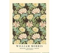William Morris - imprimé "Chrysanthème II" PM11808 (40 cm x 0,21 cm x 30 cm) (Beige/Vert)