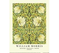 William Morris - imprimé, gauchheil PM11852 (50 cm x 40 cm) (Vert)
