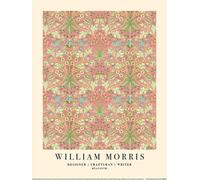 William Morris - imprimé, Jacinthe PM11817 (50 cm x 0,21 cm x 40 cm) (Rose)