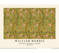 William Morris - Poster "Sweet Briar", Papier PM11826 (50 cm x 40 cm) (Gelb/Grün/Pink)