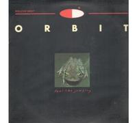 William Orbit - feel like jumping 12