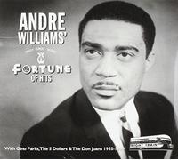 Williams, Andre - A Fortune of Hits -Digi-