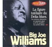 Williams, Big Joe - Big Joe Williams (Les Incontournables du Jazz)