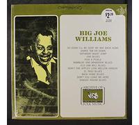 Williams,Big Joe - Big Joe Williams [Vinyl LP]