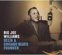 Williams, Big Joe - Delta & Chicago Blues Fou [Import]