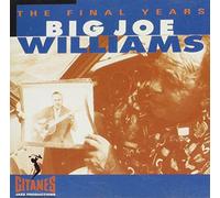 Williams,Big Joe - Final Years [Import]