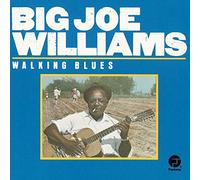 Williams, Big Joe - Walking Blues
