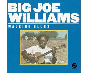 Williams, Big Joe - Walking Blues