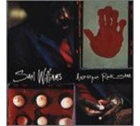 Williams, Saul - Amethyst Rock Star