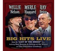 Willie Merle Ray Big Hits Live From The Last Import