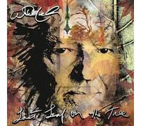 Willie Nelson - LAST LEAF ON THE TREE - Vinyl Record VINYL LONGPLAY 33 - F15z