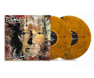 Willie Nelson - Willie Nelson, Neues Album 2024, Last Leaf on the Tree, Doppelvinyl, 2 LP