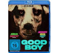 Good Boy – Willoch Njaastad, Amalie – Blu-ray