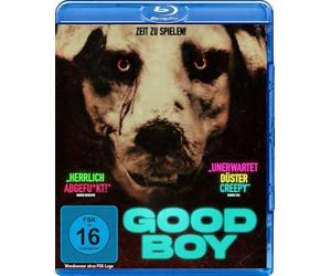 Willoch Njaastad,Amalie - Good Boy [Blu-ray]