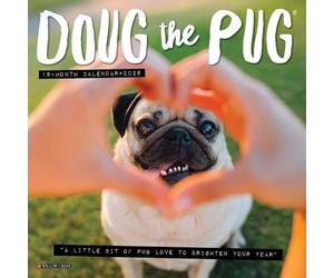 Willow Creek Mini calendrier mural 2026 Press Doug the Pug - Calendrier de 18 mois avec photographie de carlin mignon et grilles mensuelles (17,8 x 17,8 cm)
