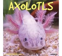 Willow Creek Press, Axolotls Calendrier mural 2027