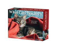 Willow Creek Press, Calendrier 2027 What Cats Teach Us 13,7 x 15,7 cm