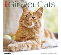 Willow Creek Press, Calendrier mural 2027 Motif chats roux