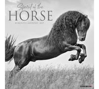 Willow Creek Press, Calendrier mural 2027 Spirit of the Horse