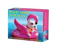 Willow Creek Press Calendrier quotidien 2026 What Dogs Teach Us - Calendrier de bureau à 365 jours avec photographie de chien, leçons de vie et inspiration canine - Pages détachables (15,7 x 13,7 cm)