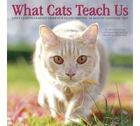 Willow Creek Press, Cats What Cats Teach Us Mini calendrier mural 2027