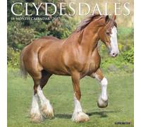 Willow Creek Press, Clydesdales Calendrier mural 2027 Motif chevaux