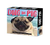 Willow Creek Press, Doug the Pug Calendrier 2027 13,7 x 15,7 cm