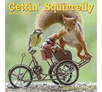 Willow Creek Press, Gettin Squirrelly 2027 Mini calendrier mural 17,8 x 17,8 cm