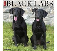 Willow Creek Press, Just Black Labs Calendrier mural 2027
