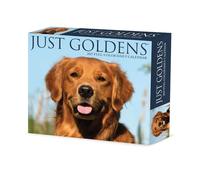Willow Creek Press, Just Goldens Calendrier 2027 13,7 x 15,7 cm