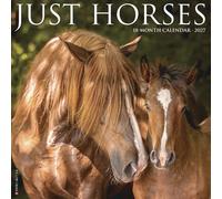 Willow Creek Press, Just Horses Calendrier mural 2027