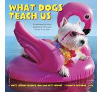 Willow Creek Press, Mini calendrier mural 2027 What Dogs Teach Us
