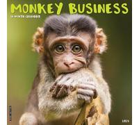 Willow Creek Press Monkey Business Calendrier mural mensuel 2025 (30,5 x 30,5 cm)