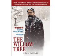 Willow Tree, The