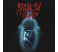 Willow Wisp - Building Up & Breaking Down [Import]