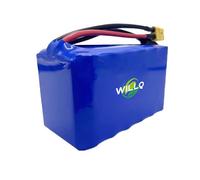 WILLQ Batterie 12 V pour Bateau amorceur de pêche télécommandé - Batteries Rechargeables 12 V (22 000 mAh / 24 000 mAh) pour Bateaux Rapides,12v22000mah