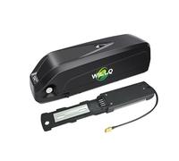 WILLQ Batterie au Lithium Portable de Remplacement pour Moteur de VTT électrique 52 V, 48 V, 36 V, 24 V 8 Ah, 10 Ah, 13 Ah, 15 Ah, 17,5 Ah, 20 Ah, 21 Ah,36v8ah