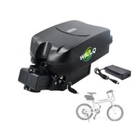 WILLQ Batterie de vélo électrique 48V 36V 8Ah 10,4Ah 12Ah 15Ah en Forme de Grenouille, Pack Batterie Lithium avec Chargeur et Carte de Protection BMS,36v8ah