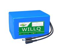 WILLQ Batterie Li-ION Rechargeable 24V 2,5Ah 3Ah 6Ah 9Ah 12Ah 15Ah 18Ah 21Ah 24Ah 27Ah 30Ah Batterie au Lithium Interne, Batterie Portable de Remplacement en PVC avec BMS,24v12000mah