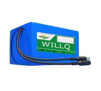 WILLQ Batterie Li-ION Rechargeable 24V 2,5Ah 3Ah 6Ah 9Ah 12Ah 15Ah 18Ah 21Ah 24Ah 27Ah 30Ah Batterie au Lithium Interne, Batterie Portable de Remplacement en PVC avec BMS,24v21000mah