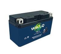 WILLQ Batterie LiFePO4 12,8 V pour démarrage de Moto | Batterie au lithium 12 V (4 Ah à 30 Ah) - Remplacement pour quad, jet-ski, tondeuse autoportée ou scooter